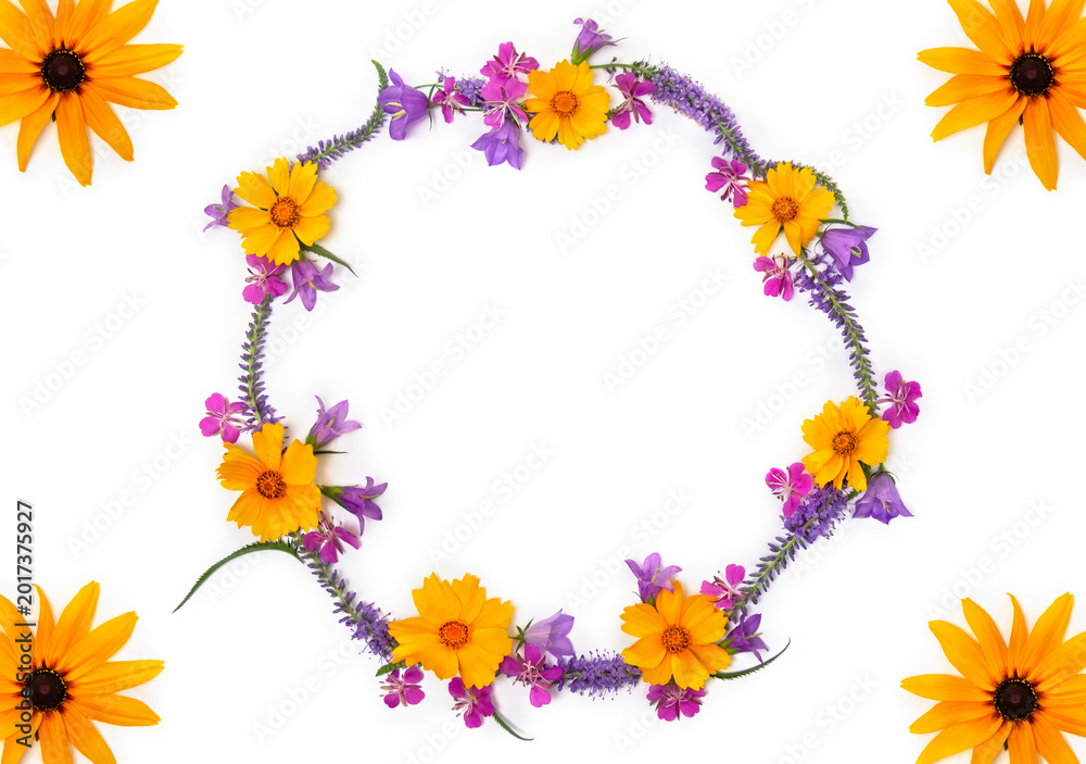 Obraz premium Yellow coreopsis, rudbeckia, pink fireweed, veronica and purple bellflowers, wreath on white background with copy space for text. Top view, flat lay