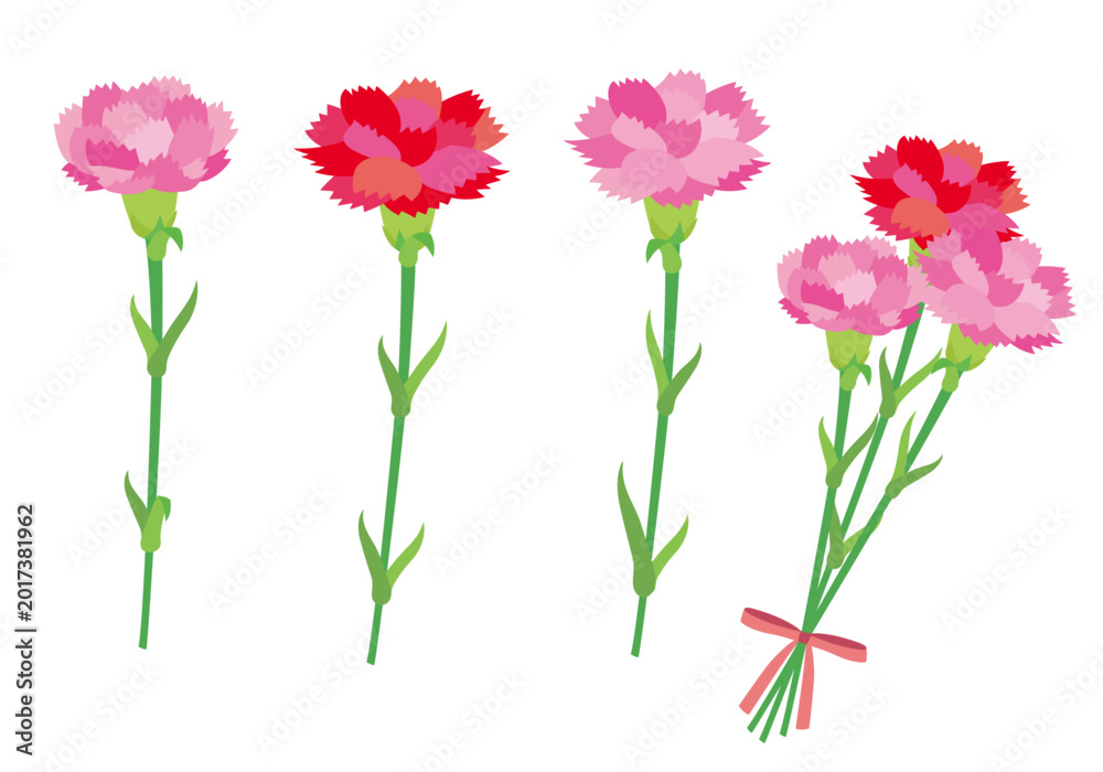 Obraz premium カーネーションの花イラストセット01