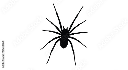 Tableau sur toile Spider silhouette against a white background high quality