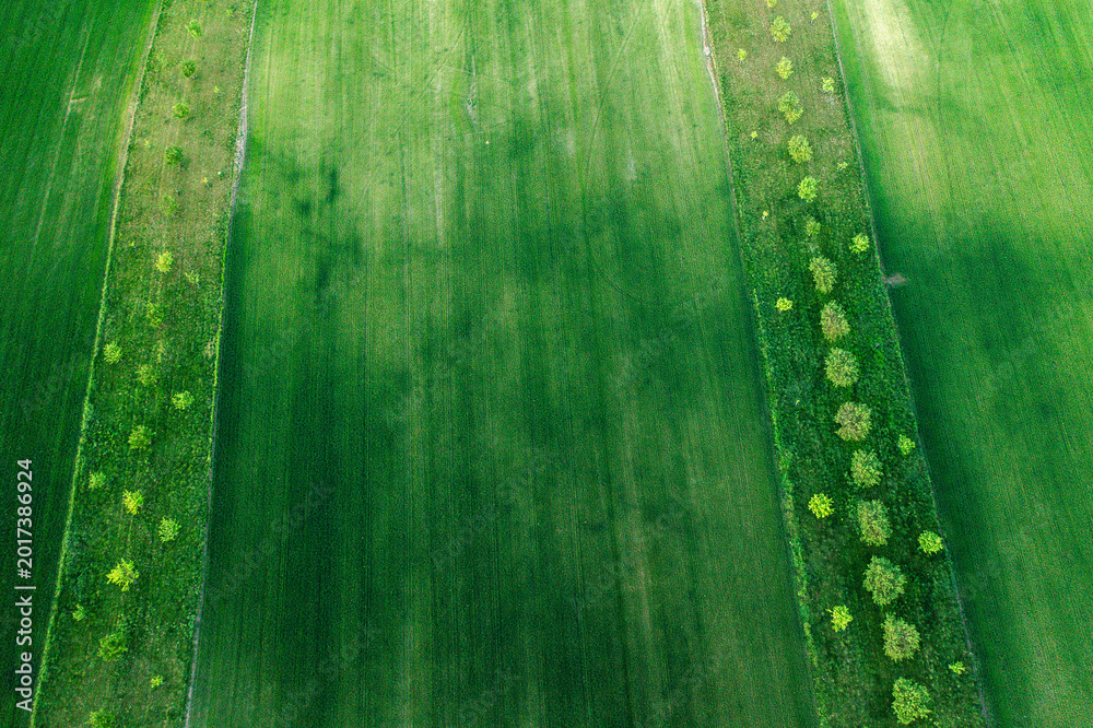 Fototapeta premium Aerial drone view of agriculture landscape in Moravia