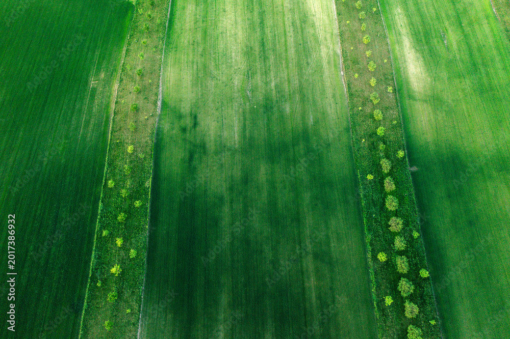 Fototapeta premium Aerial drone view of agriculture landscape in Moravia