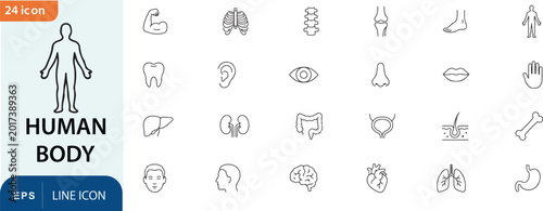 Cuadro en lienzo Human body line icons set