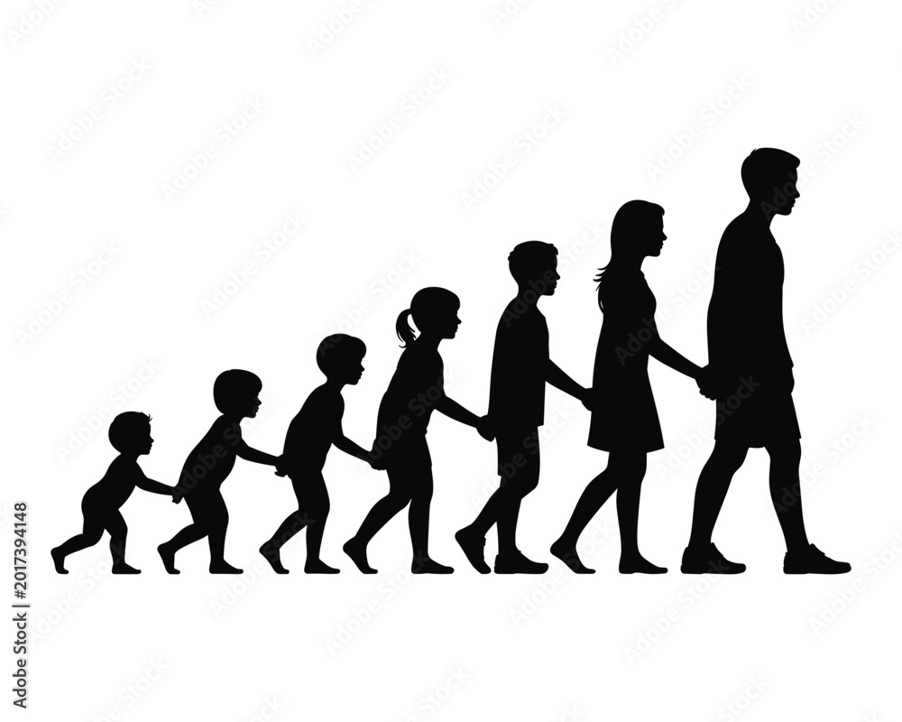 Fototapeta premium Silhouette of a family walking hand in line from baby to adult together