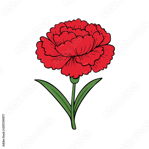 Vibrant Red Carnation Flower with Green Leaves and Stem Illustration