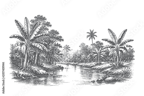Foto Tropical landscape vector illustration in vintage engraving style depicting a calm river lined with exotic palm trees and lush jungle vegetation