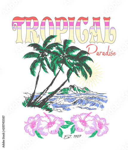 Photography Palm tree Beach Hand Drawing vector illustration