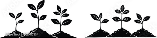 Fotografía Plant sprout in soil for agriculture and growing nature