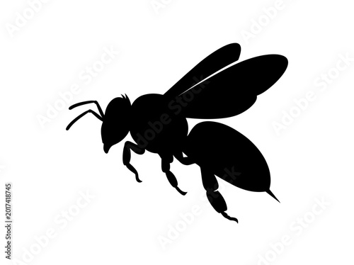 Photos Bee silhouette against a white background isolated insect shape