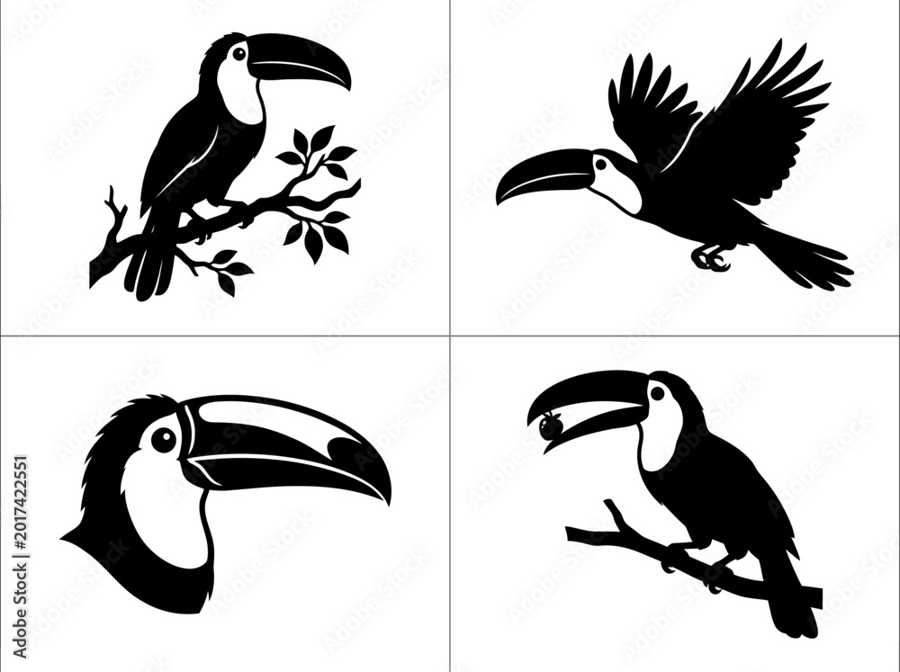 Naklejka premium Collection of four black and white toucan silhouettes, depicting the tropical bird perched on branches, in flight, and a detailed headshot, showcasing their distinctive large beaks.