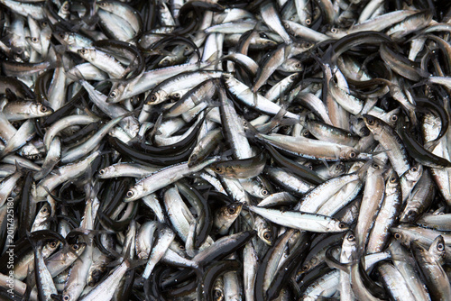 Schilderij op canvas Hintergrund aus frisch gefangenem Fisch