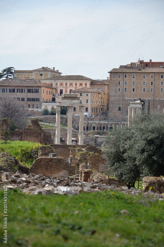 Fototapeta premium Roman Forum Ruins with Historic Rome Cityscape