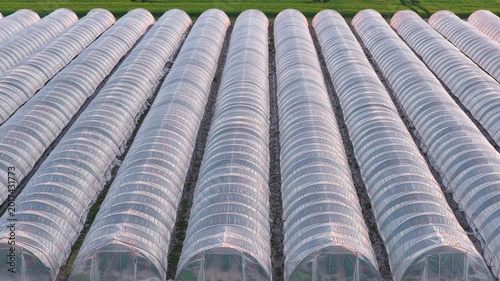 Greenhouse (Polytunnel) in Germany to produce strawberrys