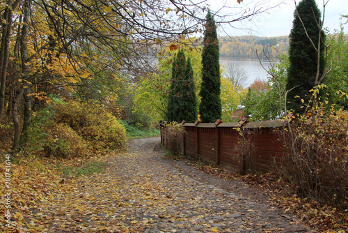 autumn in the park