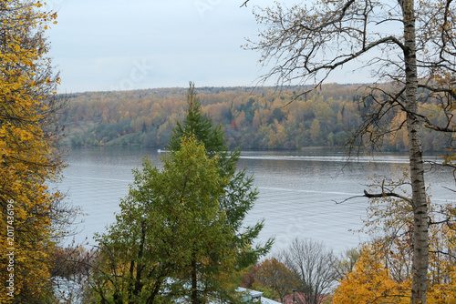 autumn in the forest