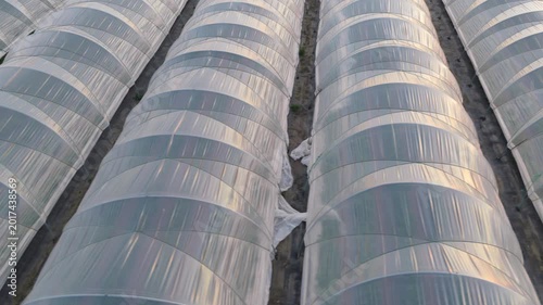 Greenhouse (Polytunnel) in Germany to produce strawberrys