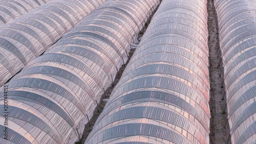 Greenhouse (Polytunnel) in Germany to produce strawberrys