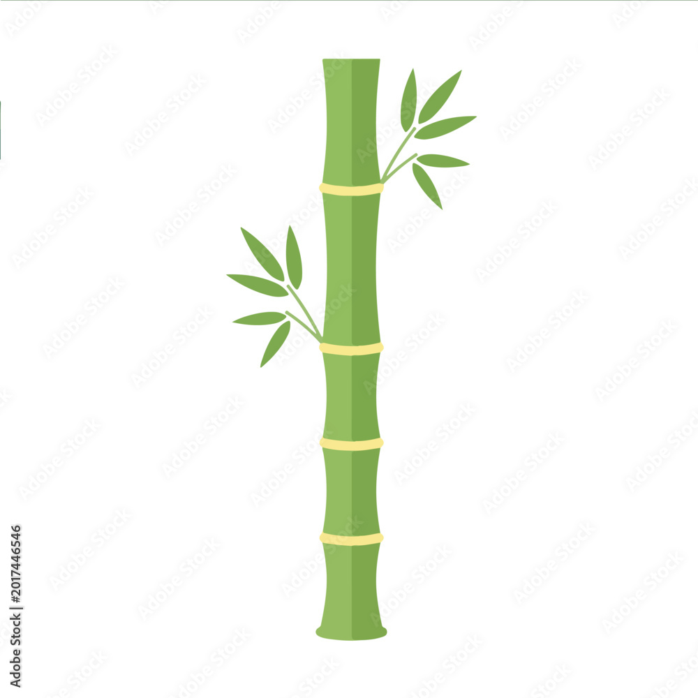 Obraz premium Sturdy Segmented Bamboo Tree Stalk Flora Vector