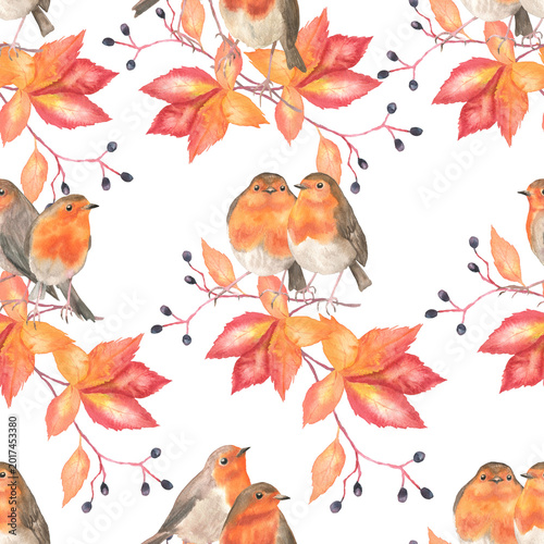 Seamless pattern of autumn robins white
