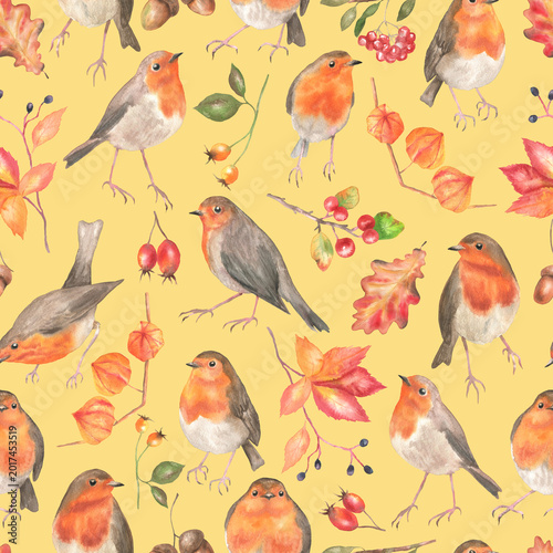 Seamless pattern of robin and autumn plants yellow
