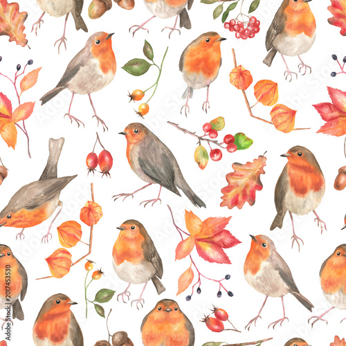 Seamless pattern of robin and autumn plants white