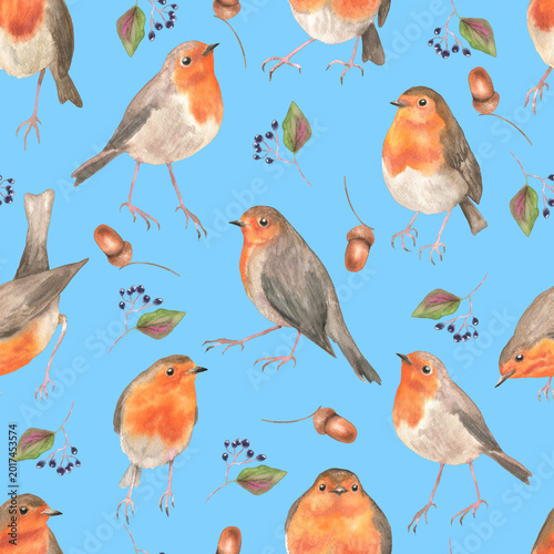 Seamless pattern of robin birds blue