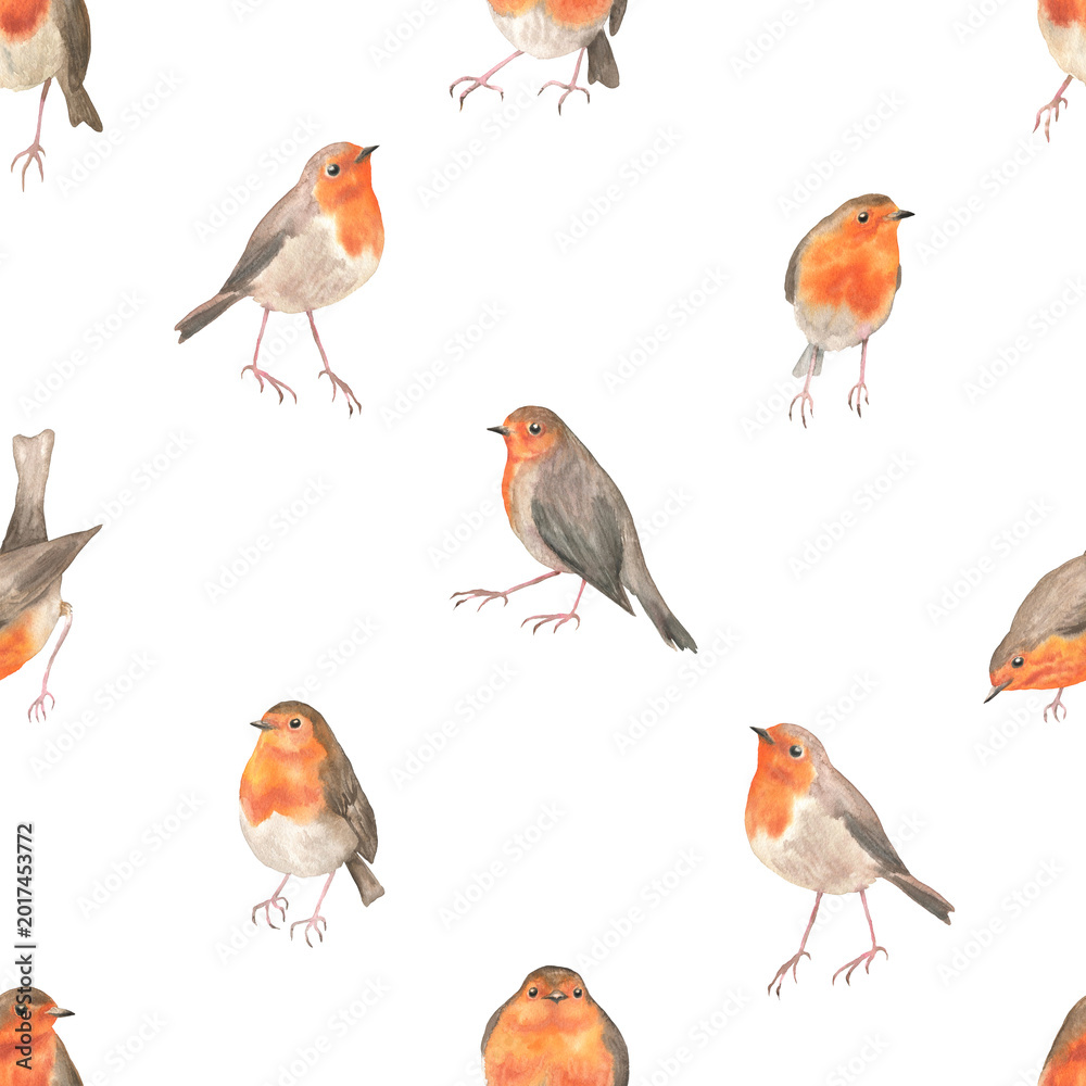 Fototapeta premium Seamless pattern of robins in different poses white