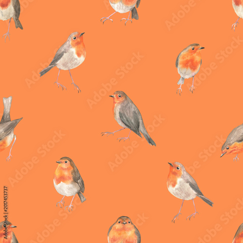 Seamless pattern of robins in different poses orange