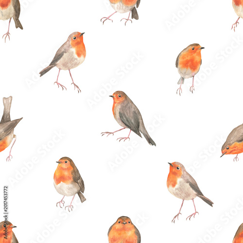 Seamless pattern of robins in different poses white