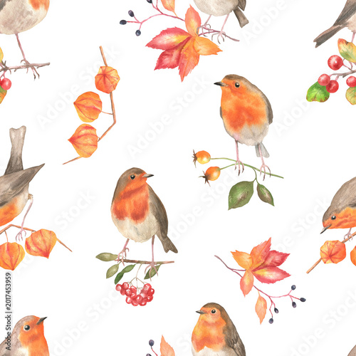 Seamless pattern of robins on branches