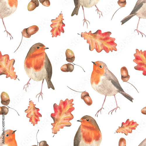 Seamless pattern robin acorns and oak leaves white