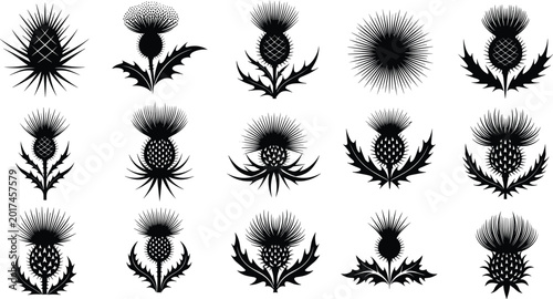Fotografie Thistle Plant Icon Set with Various Shapes and Spiked Designs for Nature, Botani