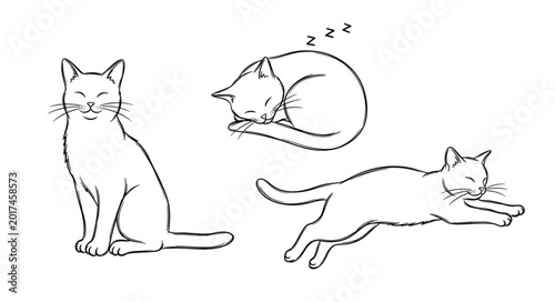 Bilde på lerret Three Cats in Different Poses Sketch Style.