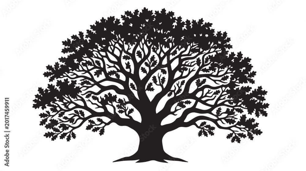 Fototapeta premium Black Oak tree silhouette vector on white background, design for nature, environment landscape and template 
