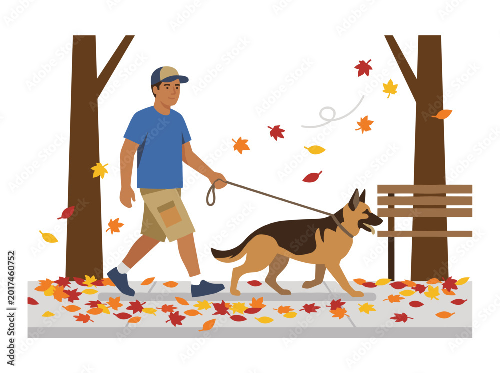 Fototapeta premium Man walks a dog on a leash through an autumn park with falling leaves and trees