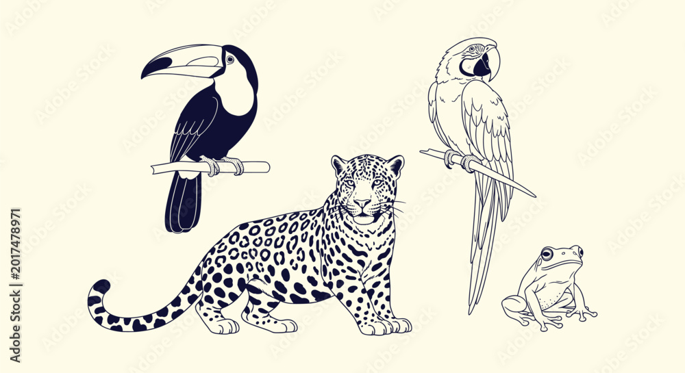 Fototapeta premium Set of hand drawn exotic tropical rainforest animals jaguar toucan macaw and tree frog line art