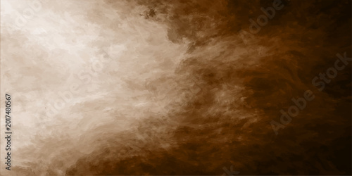Schilderij op canvas Abstract brown fur texture transitions into a dark grunge backdrop with wispy sm