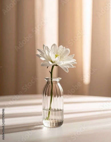 Simple Elegance of White Flower in Glass Vase on Soft Table Setting