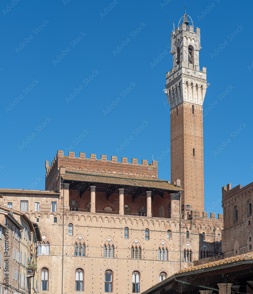 Fototapeta premium View of Palazzo Pubblico bell tower, Siena, Italy