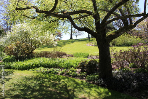 Parc floral d'Apremont-sur-Allier : à l'ombre d'un bel arbre