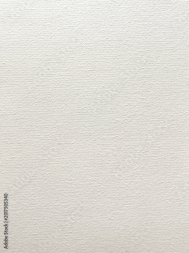 Фотография Primed white painting canvas texture with organic woven wabi sabi surface
