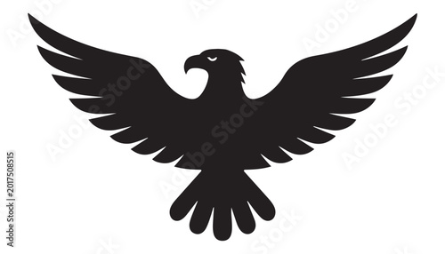 Cuadro en lienzo Silhouette of an eagle with outstretched wings silhouette predator strength wild