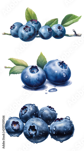 A collection of three colorful illustrations of a blueberry on a transparent background.
