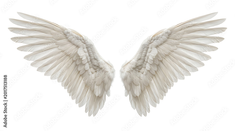 Fototapeta premium White angel wings with soft feather details