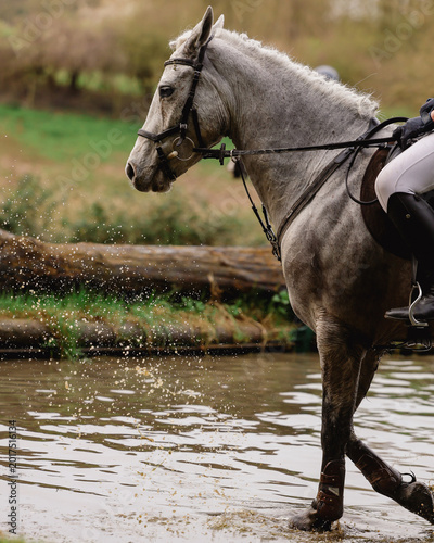 EQUESTRIAN EVENT