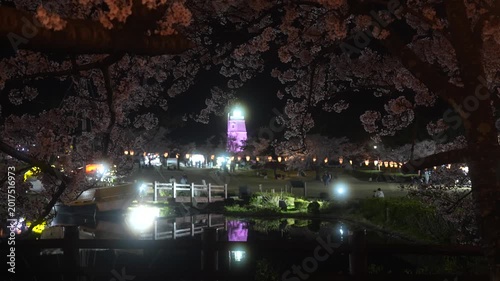 Night View of Illuminated Cherry Blossoms and Lighthouse in Sakata, Japan, 2026
