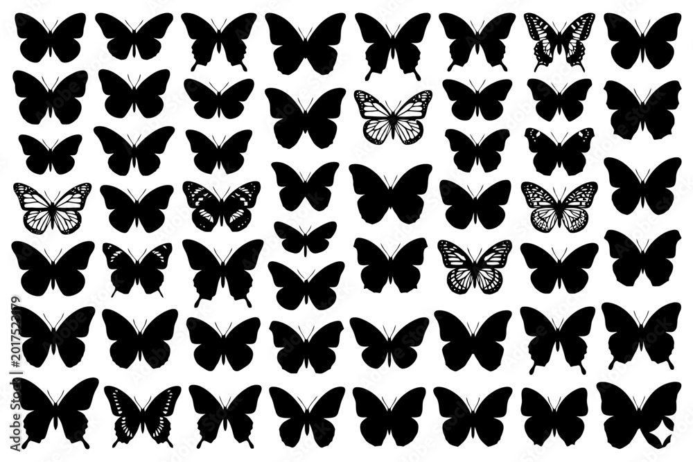 Fototapeta premium Silhouette collection of diverse butterflies in rows featuring various wing patterns.
