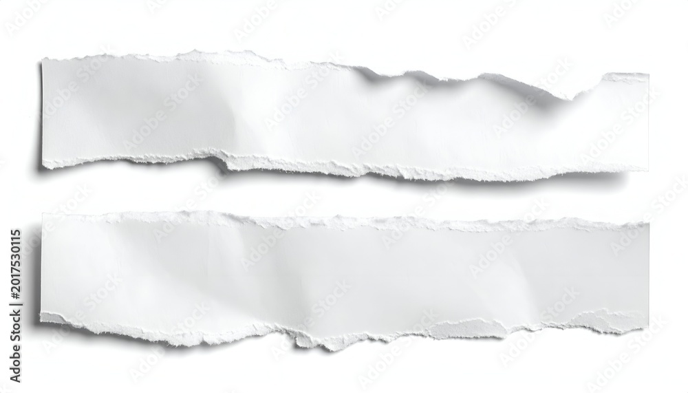 Fototapeta premium Two white paper strips with rough, torn edges, angled slightly