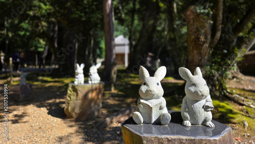 Obraz na plátně Rabbit sculptures in peaceful forest park