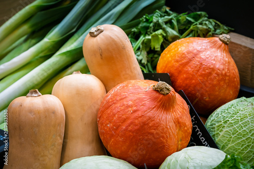 pumpkins and squash at farmers market