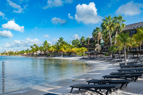 Konstfotografi Mambo Beach in Curaçao offers a perfect scene of a Caribbean resort, with numerous lounge chairs and palapas on white sand, under palm trees, facing clear turquoise water